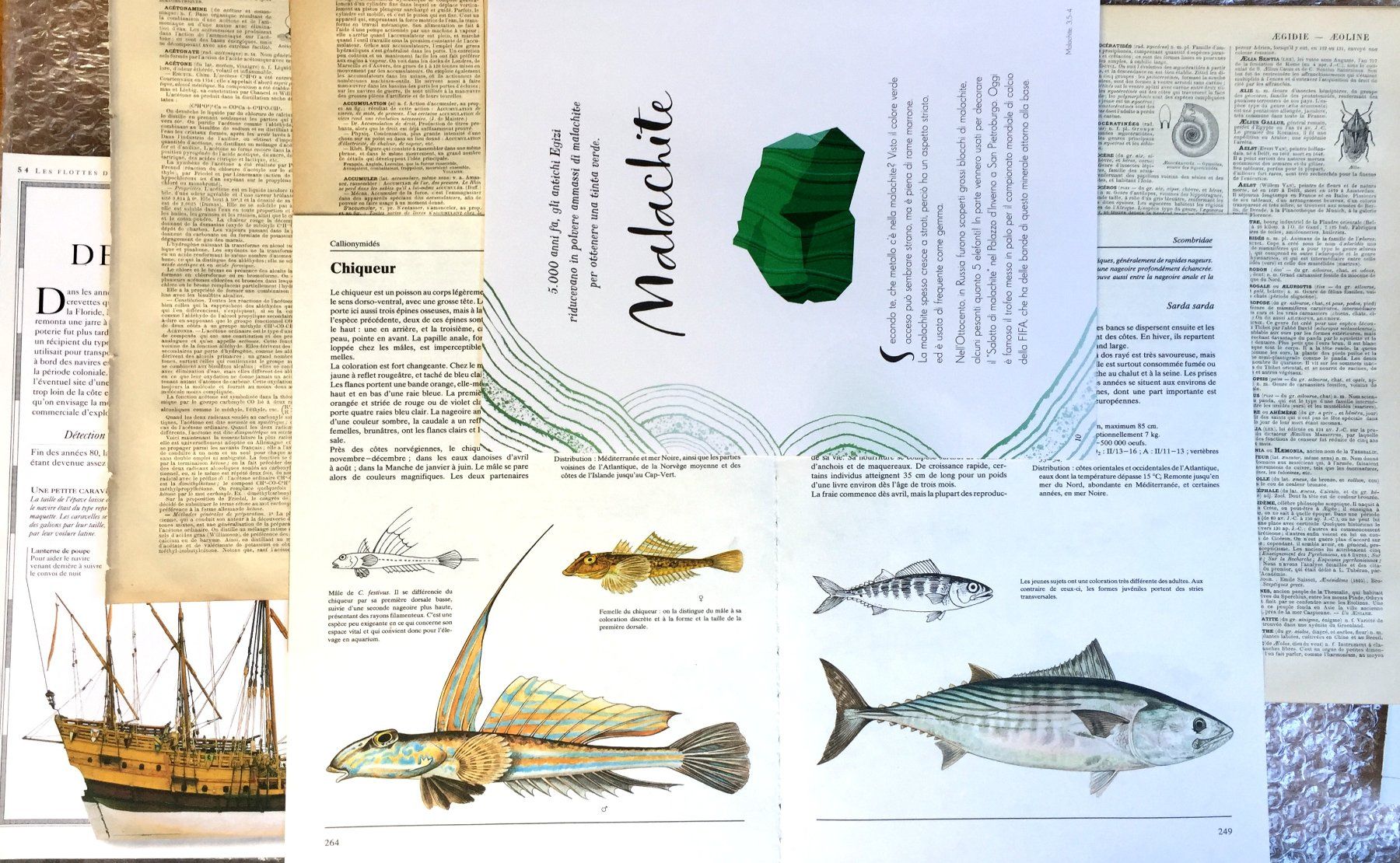 Libri: ephemera 10/papier collage bastelpapier scrapbooking+Versand – Usato da Pully venduto da websurfer1 2