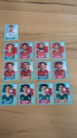 Fussball Sticker Panini WM - 13 Sticker