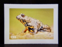 MIGROS MANIA Nature Detectives Nr. 139