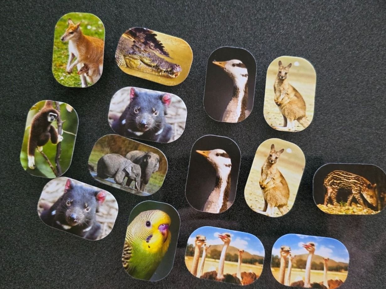 Sticker: Sticker Natoons Tiere 2013 – Nuovo (secondo la descrizione) da Meggen venduto da everydaysale