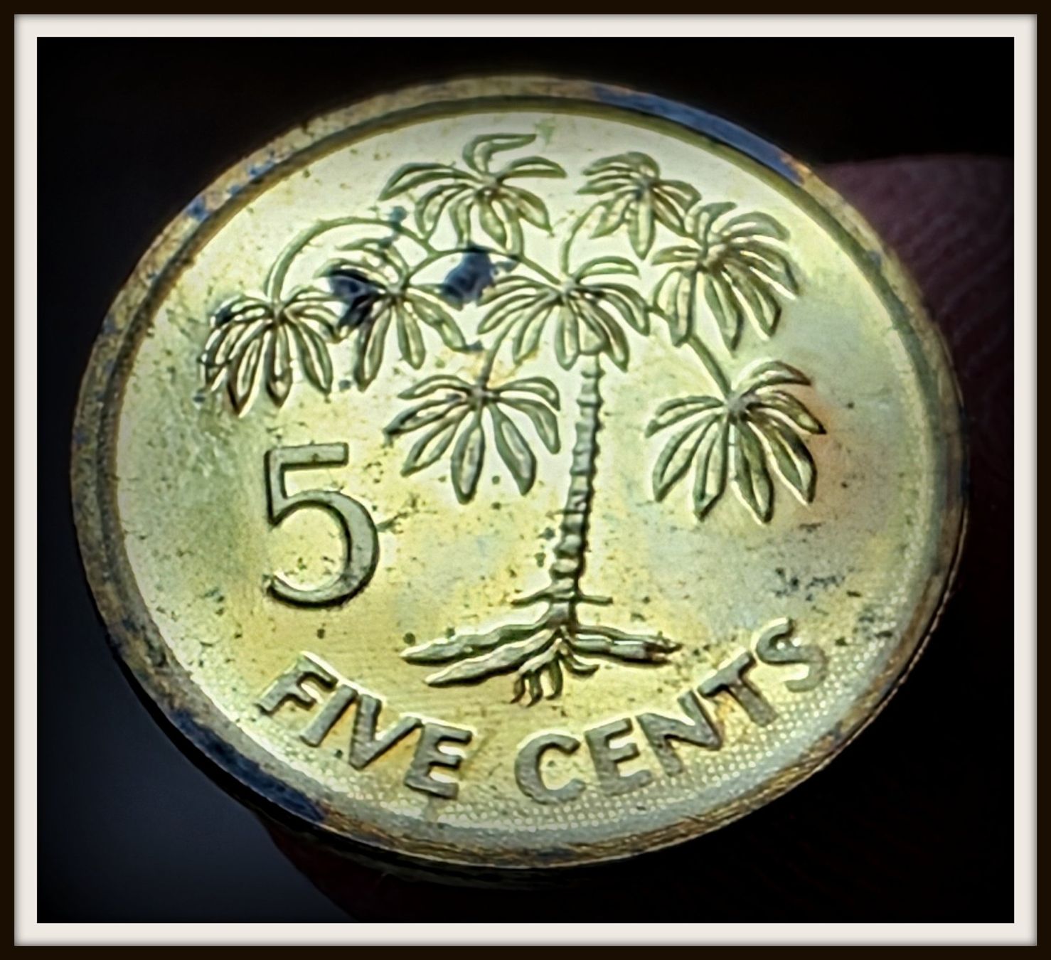 Tutti le monete: SEYCHELLEN 5 CENTS 2007 – Usato da winterthur venduto da CoinPassion
