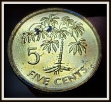 SEYCHELLEN 5 CENTS 2007