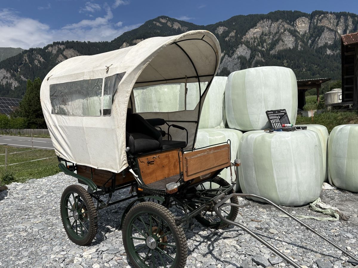 Calèches: Wagonette Planwagen Kutsche – D'occasion à Fürstenaubruck par Reddog6