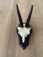 Gamsbock