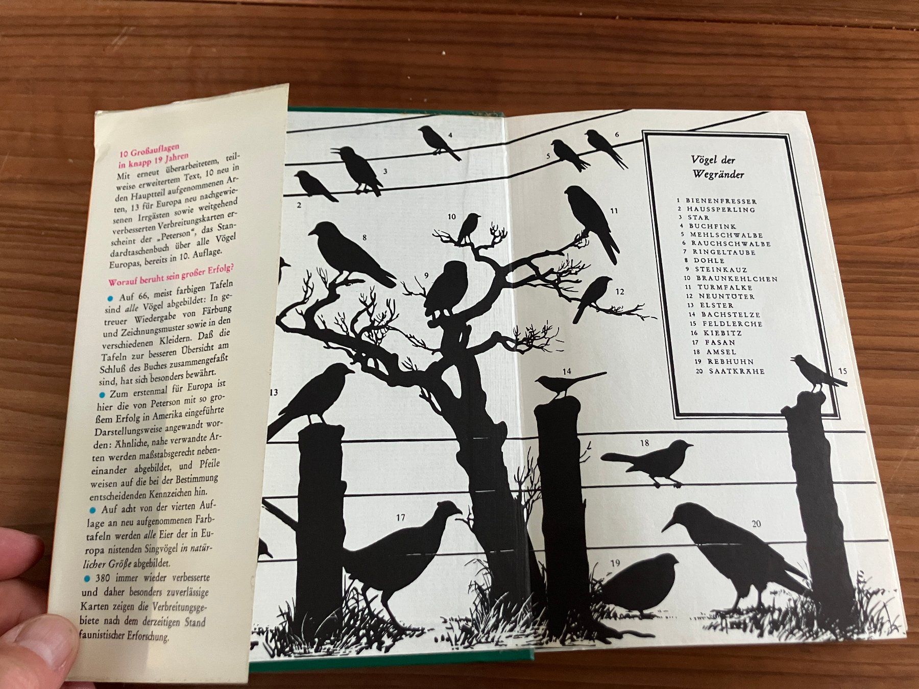 Bücher: Buch - Die Vögel Europas - antik – Gebraucht aus Lindau von PrinterGuy 3