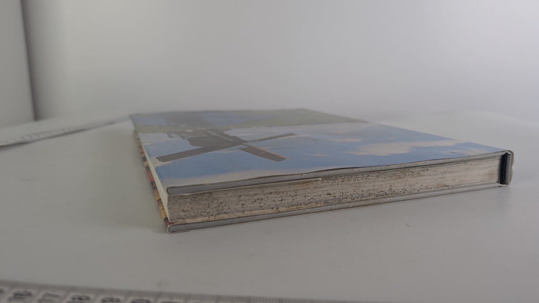 Libri: Holland – Silva 1975 – Usato da Zürich venduto da axolottchen 4