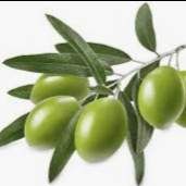 Profile image of Olive8