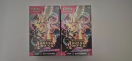 Pokemon Ascesa Eroica Box Sigillata-Nuova Collezione✨
