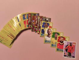 Panini WM 2026 100 Karten+Extra Sticker