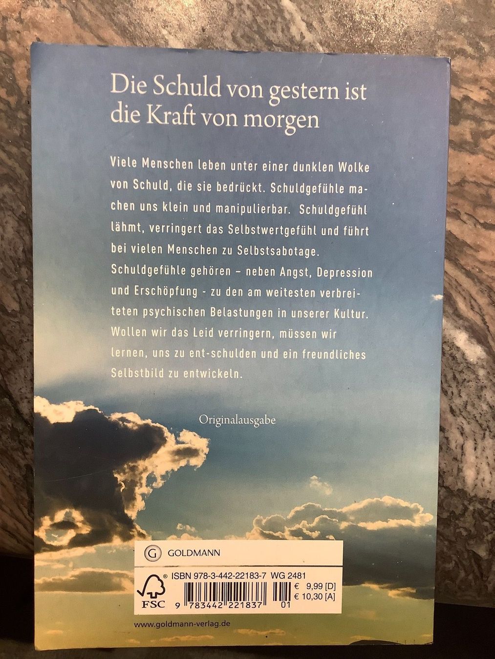 Libri: Schuld- Entrümpelung – Usato da Zürich venduto da Albatros57 1