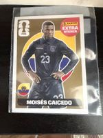 Panini FIFA Extra Sticker Moises Caicedo GOLD🥇