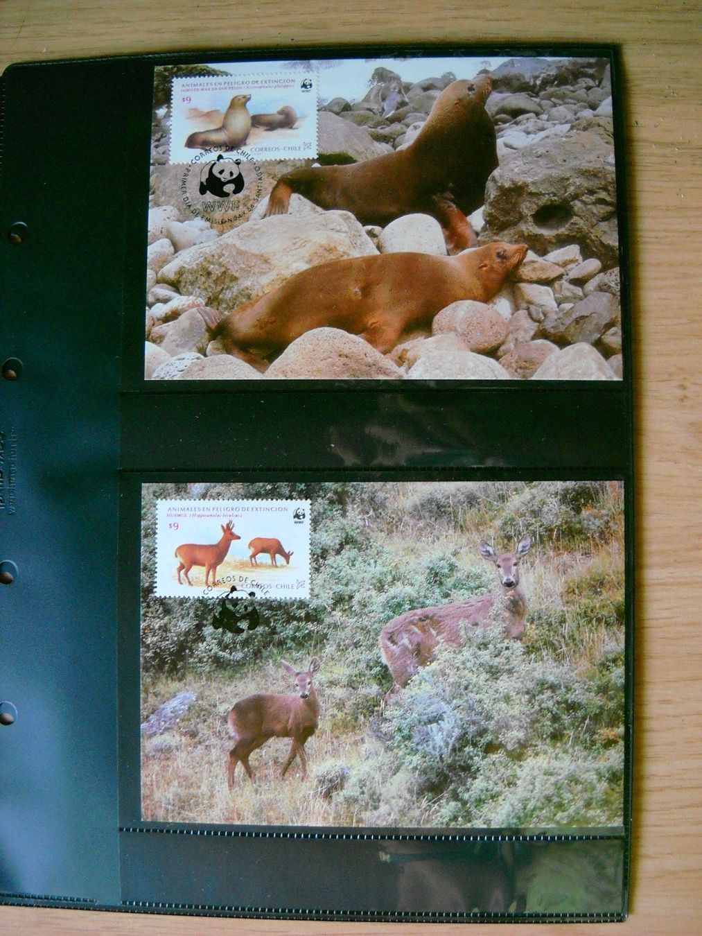 Tutti i francobolli: WWF Bedrohte Tierarten Chiles Dokument mit Briefmarken – Nuovo (secondo la descrizione) da Boningen venduto da FrediP 6