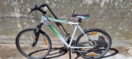 MTB  5 Stück für Export