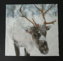 20 Servietten Wintermotiv / Rentier, 33 x 33 cm / NEU