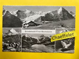 1969 Grindelwald-First-Bachalpsee
