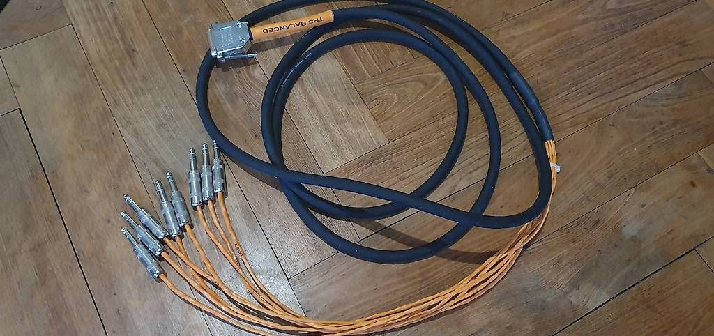 Avid Cavi: Avid DB25-TRS Digisnake 12 – Usato da St. Imier venduto da Lautar_Vega 1