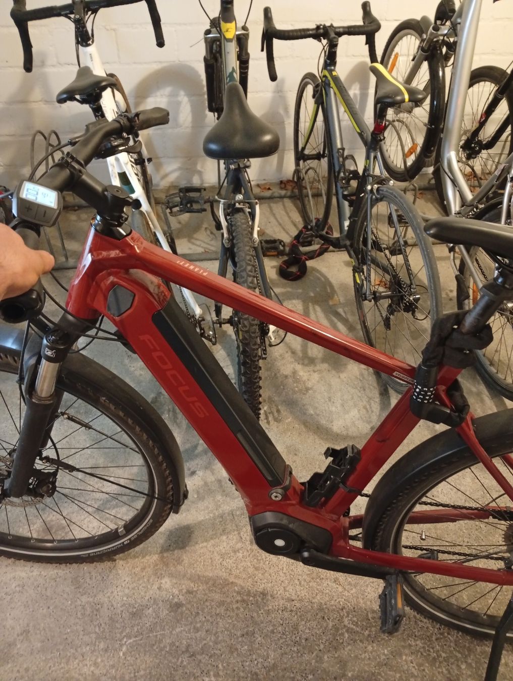 Focus Biciclette: Vélo électrique Focus rouge bon état – Nuovo (secondo la descrizione) da Aarau venduto da kav_757c 1