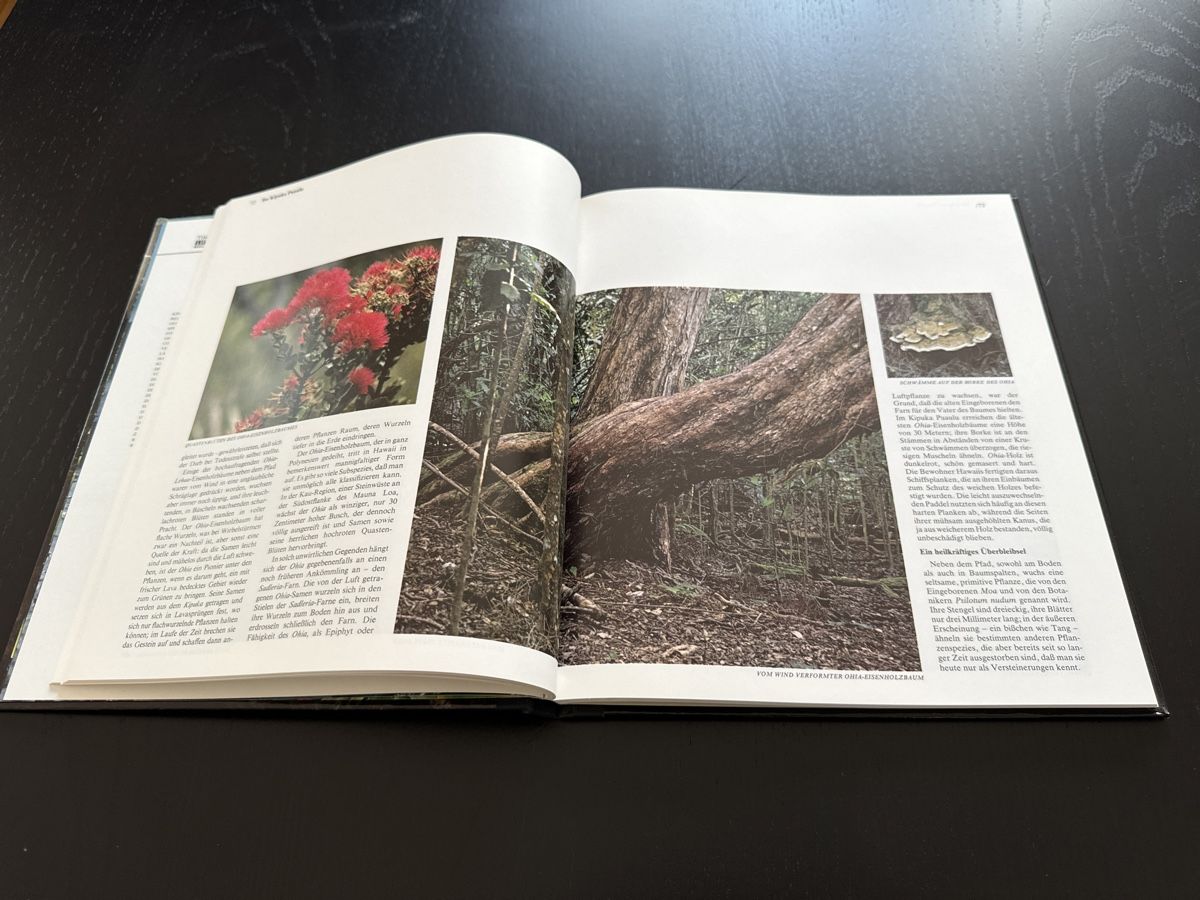 Libri: Hawaii – Usato da Erstfeld venduto da Uhu1980 4