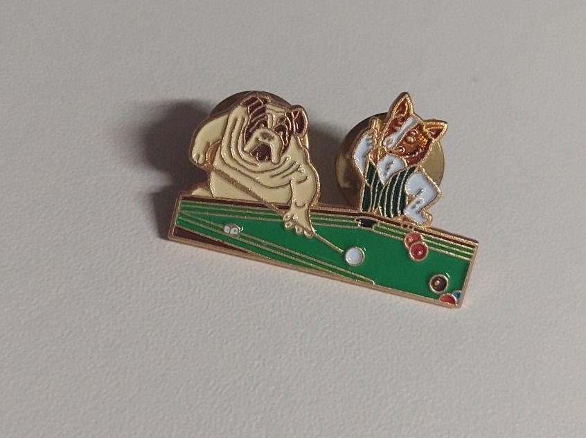 Pin Billard | Kaufen auf Ricardo
