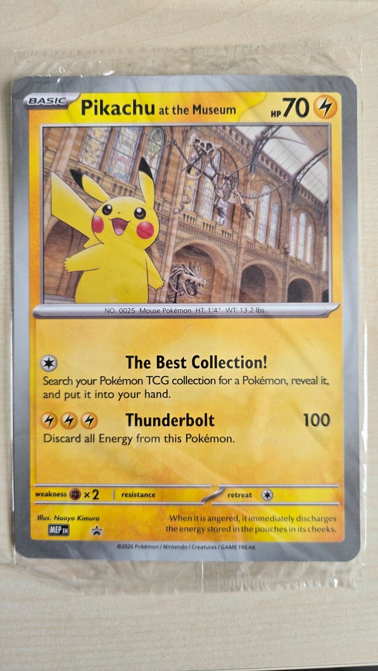 Pokémon Carte collezionabili: Pikachu at the Museum | Englisch | Jumbo – Nuovo e nell'imballaggio originale da Winterthur venduto da GreenSkyline