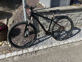 Mountain Bike Herren