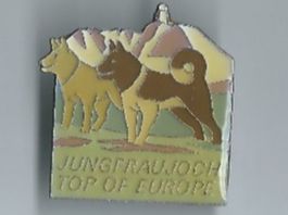Jungfraujoch Top of Europe Pin, Hunde Bergmotiv