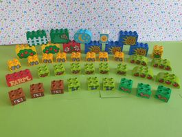 Duplo (Y06) Set Motivsteine Bauernhof