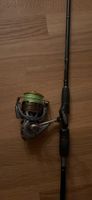 Hechtrute CORMORAN 2.70m 30-70g 2-teilig + Daiwa LEXA 3000SH