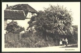 Buchthalen, Bauernhaus, Naturstudien, um 1930