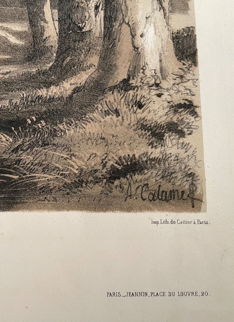 Arts picturaux & lithographies: Al. Calame lithographie Peupliers – D'occasion à Biel/Bienne par Galaq 2