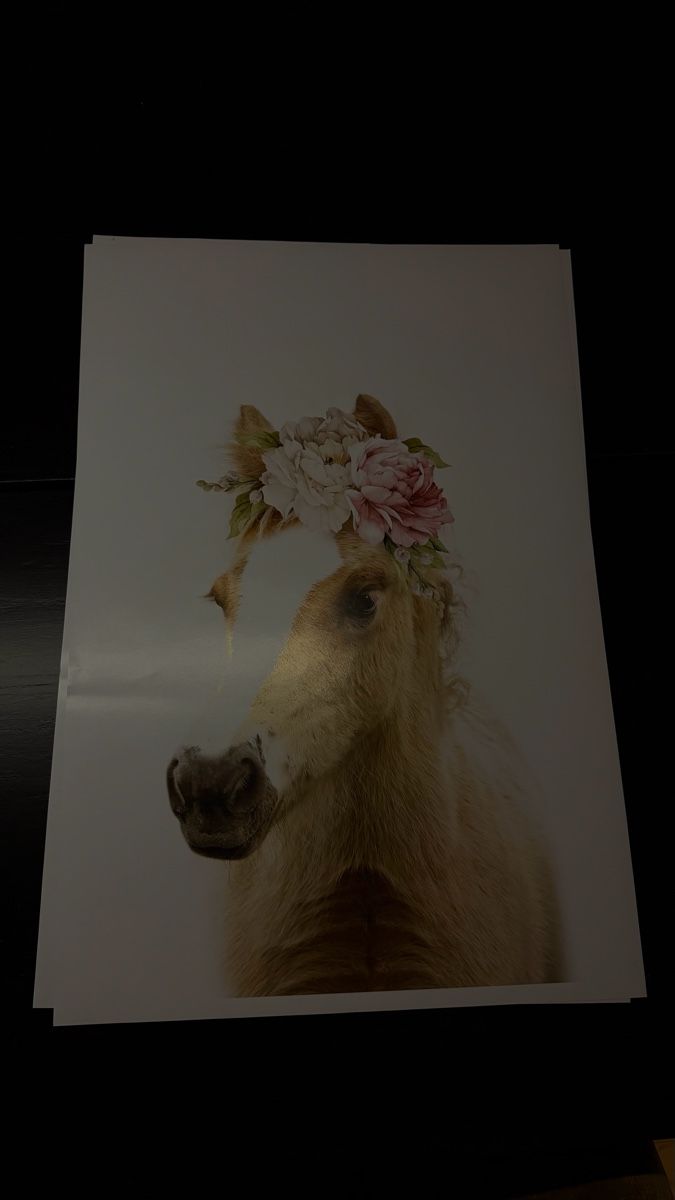 Poster & Bilder: 3 big animal posters high resolution + 2 giraffe posters  – Gebraucht aus Genthod von cha_8vfp 4