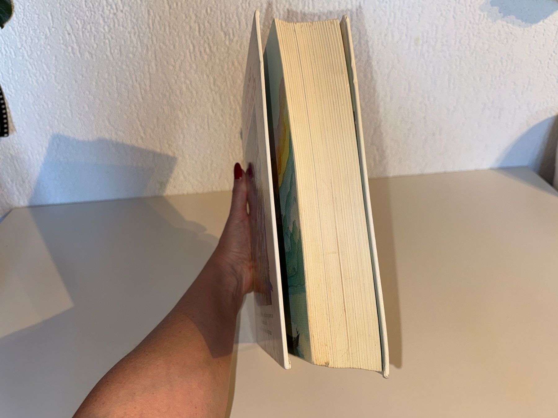 Libri: BUCH: Das grosse Märchenbuch – Usato da Grosswangen venduto da Second_hand_paradise 1
