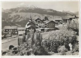 Blumendorf PANY: Foto-AK Furter 1960