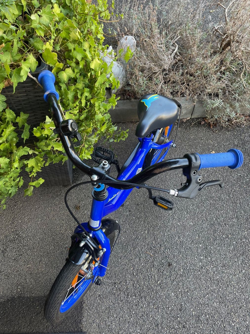 Biciclette: Kolibri 14 Kindervelo – Usato da Lachen SZ venduto da IH2000 1
