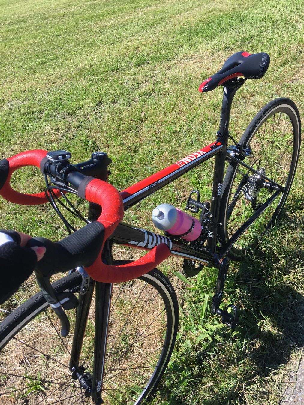 Rose Biciclette: Damen Rennrad Rose XEON wunderschön Grösse S – Usato da Bertschikon Gossau venduto da Phermes 2