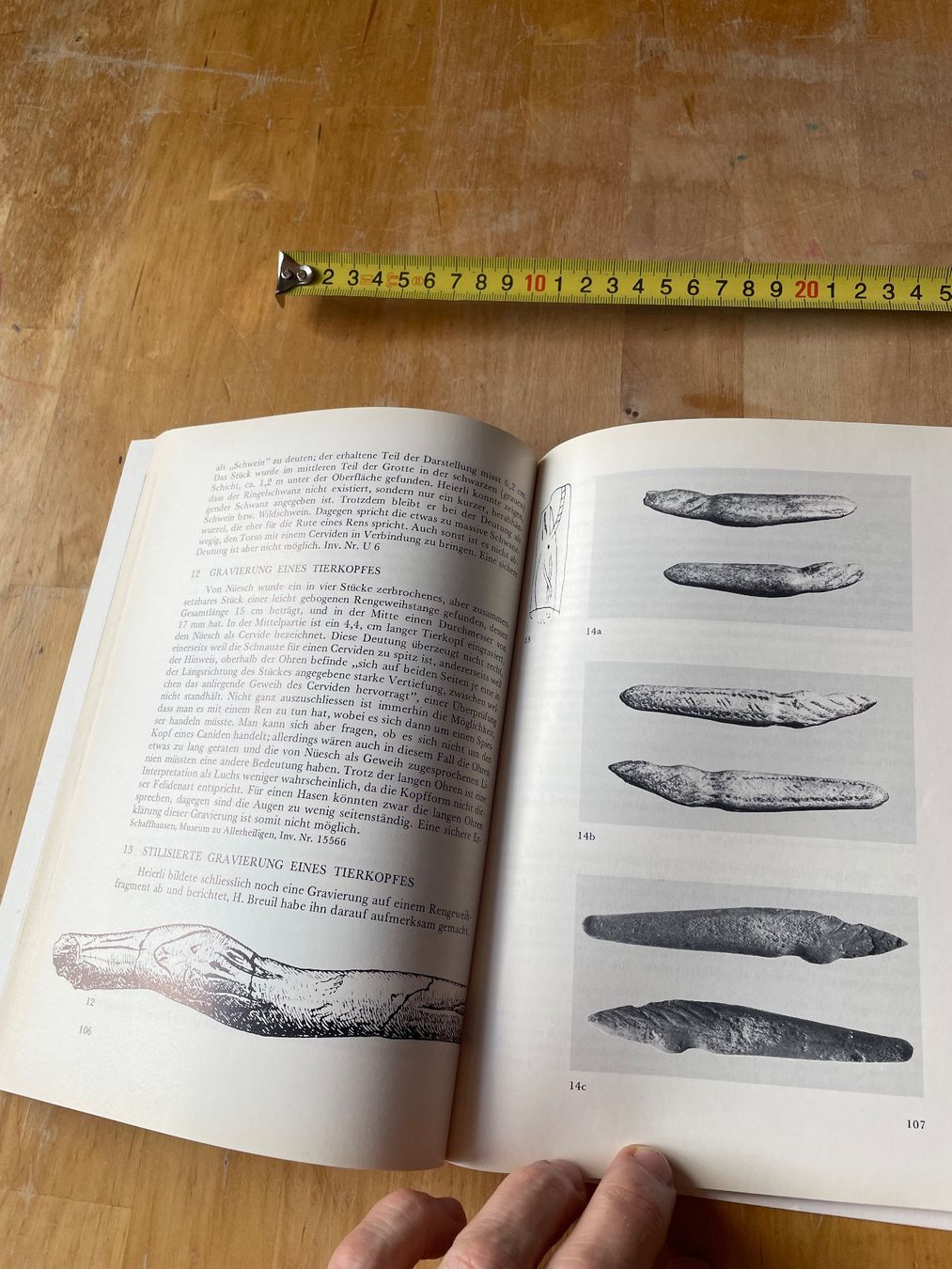 Libri: Geschichte- Kultur der Eiszeitjäger Kesslerloch – Usato da Sent venduto da ManuelB07 5