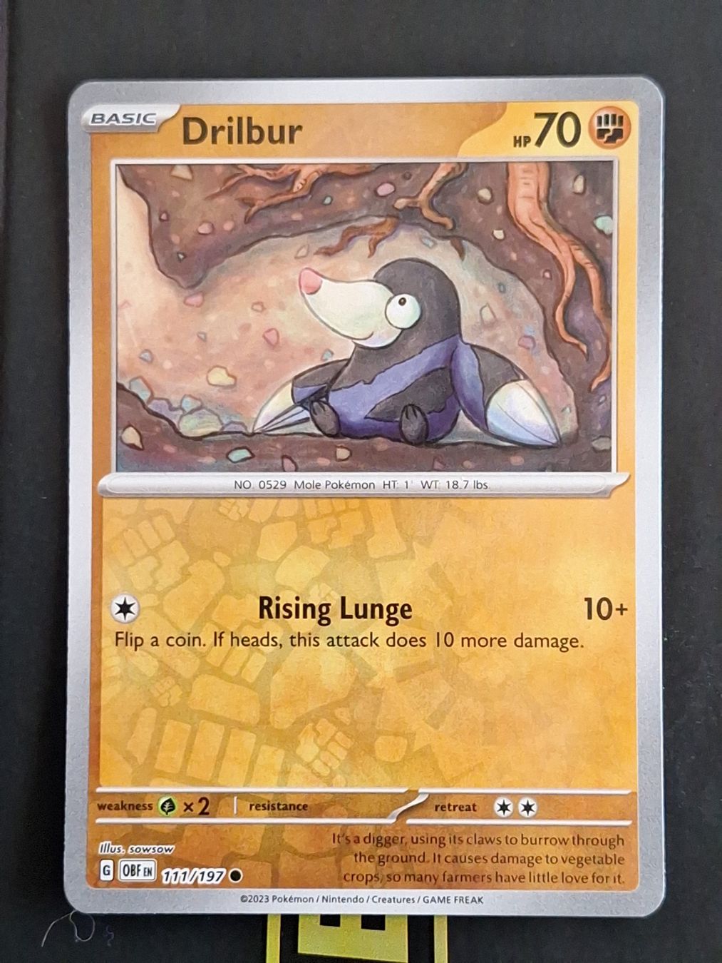 Pokémon Carte collezionabili: Drilbur - Pokemon Reverse Holo Obsidian Flames – Usato da Altstätten SG venduto da GGsGameshop