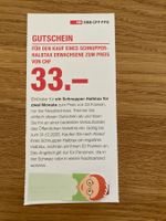 SBB Gutschein Schnupper-Halbtax Erwachsene 33 Franken