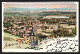 Litho Zürich, Totalansicht von der Waid