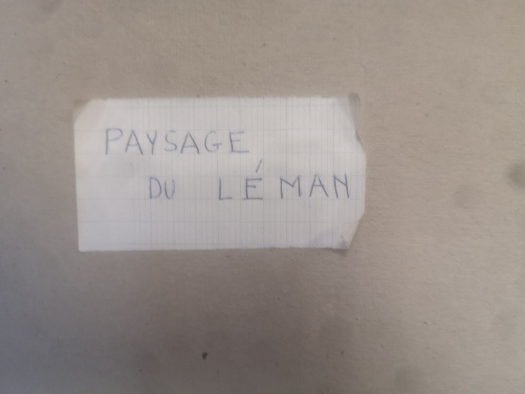 Dipinti: PAYSAGE DU LÉMAN – Usato da Genève venduto da Qanil77 7