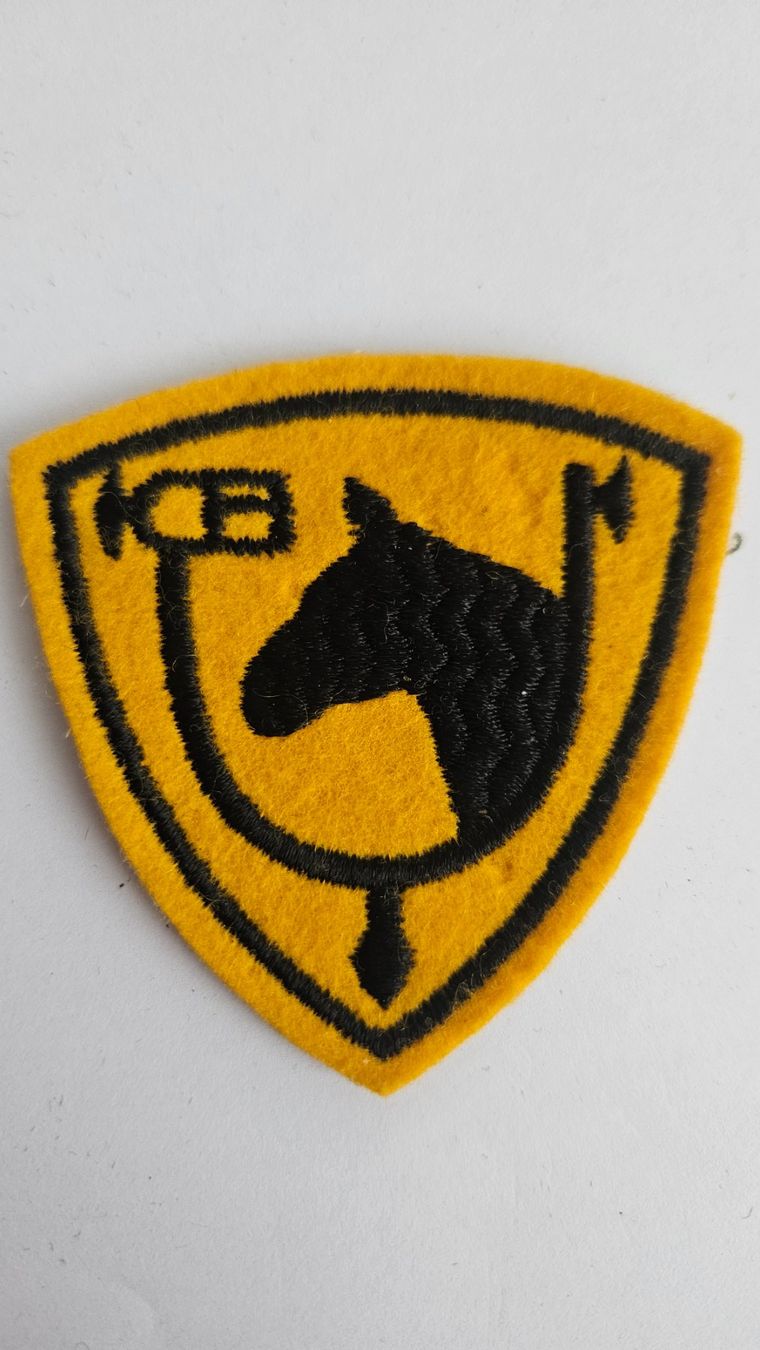 Placchette & Badge: US Army Patch – 14th Armored Cavalry Regiment – Usato da Zofingen venduto da Phil68