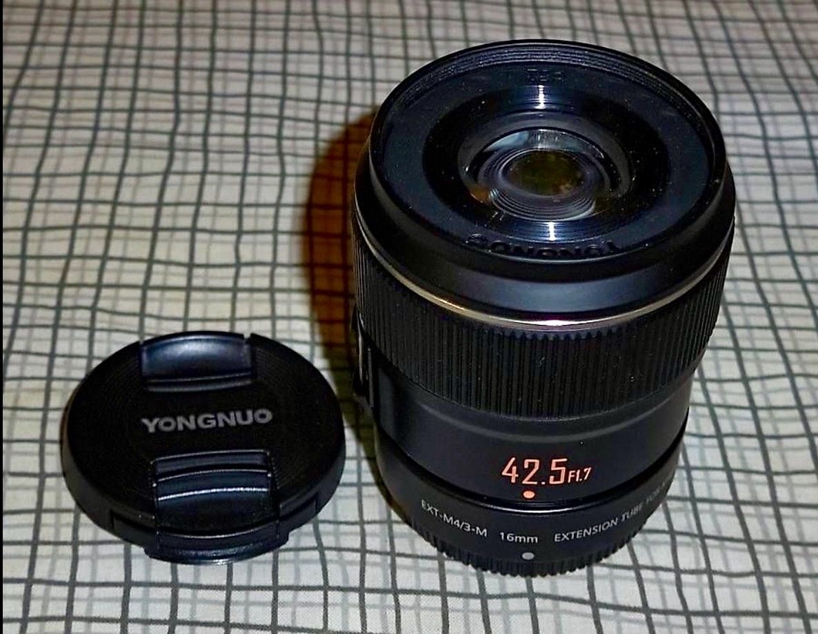Yongnuo Obiettivi: Objectif micro 4/3 42.5mm f1.7 – Usato da Corbières venduto da aros02