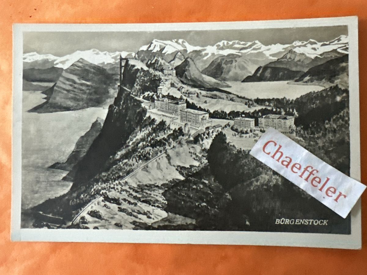 Cartes postales: 1929 Bürgenstock – D'occasion à Zürich par Chaeffeler