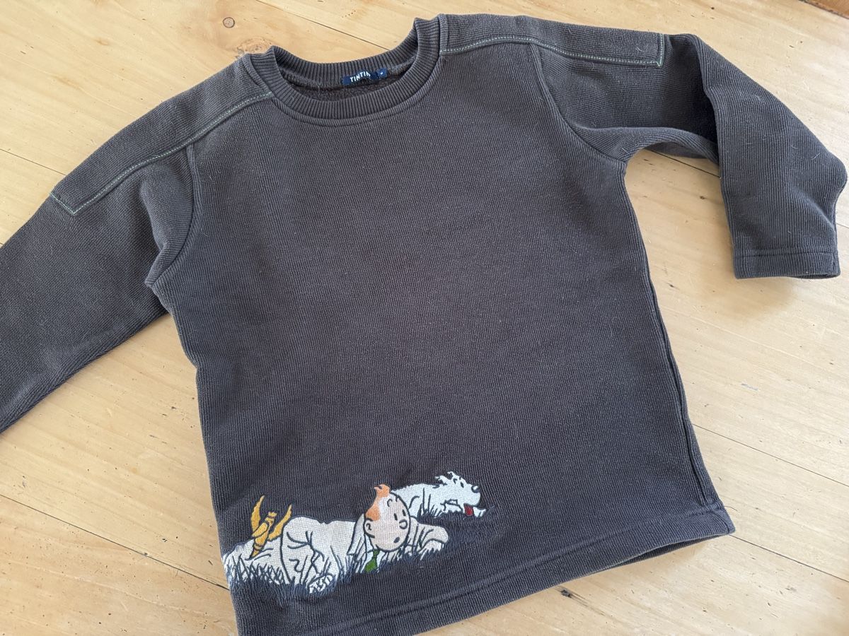 Maglioni & Felpe: Pull / sweat coton brodé Tintin 6 ans – Usato da Puidoux venduto da serendipite