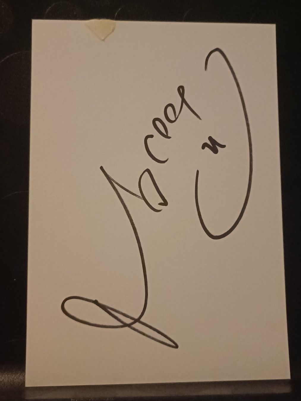 Autografi: Paved Neved - Tschechien WM 2006 - Handsigniert – Usato da Menziken venduto da Artographs