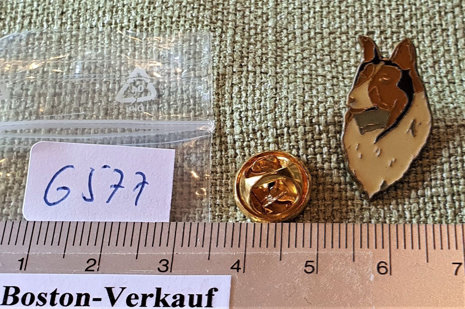 Plaketten & Abzeichen: G577 - Pin Hund Collie – Gebraucht aus Reinach BL von Boston-Verkauf 1