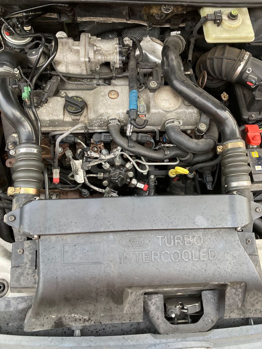 Ford Veicoli commerciali: Ford Connect 220S – Usato da Liestal venduto da Riccicardesign 7
