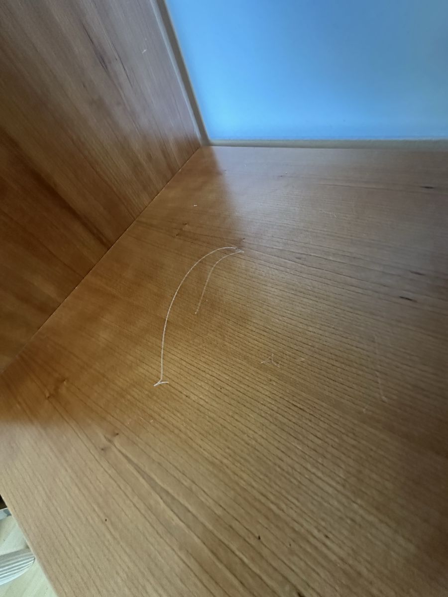 Regale: Regal / Raumtrenner – Gebraucht aus Basel von JoelNoel 5