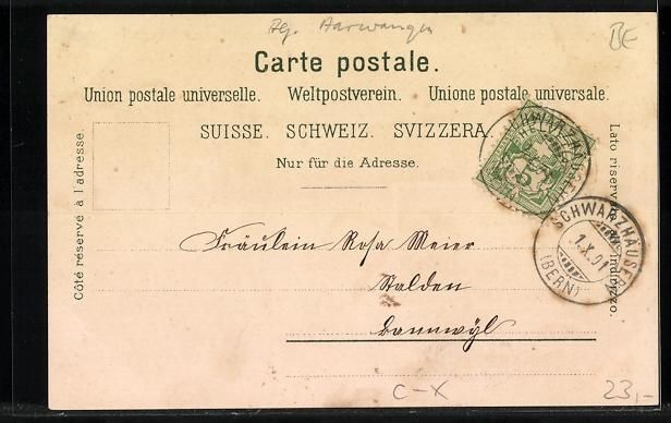 Cartoline postali: Litho Langenthal, Amtshausgasse, Bäreng – Usato da Berlin venduto da bartko-reher 1