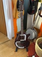 Danelectro Sitar